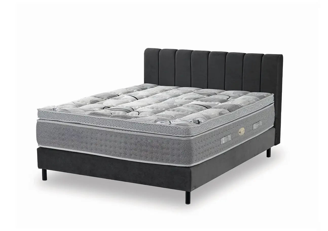 מזרן טרז'ר Treasure